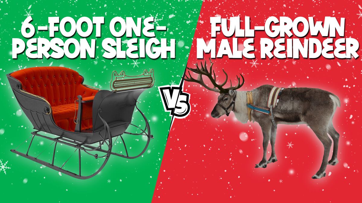 What Weighs More: Christmas Edition image number null